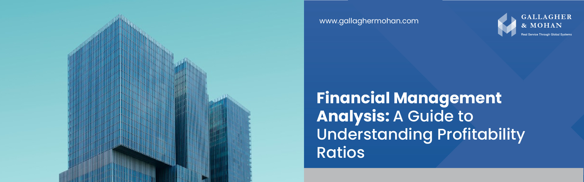 Financial Management Analysis A Guide To Understanding Profitability Ratios