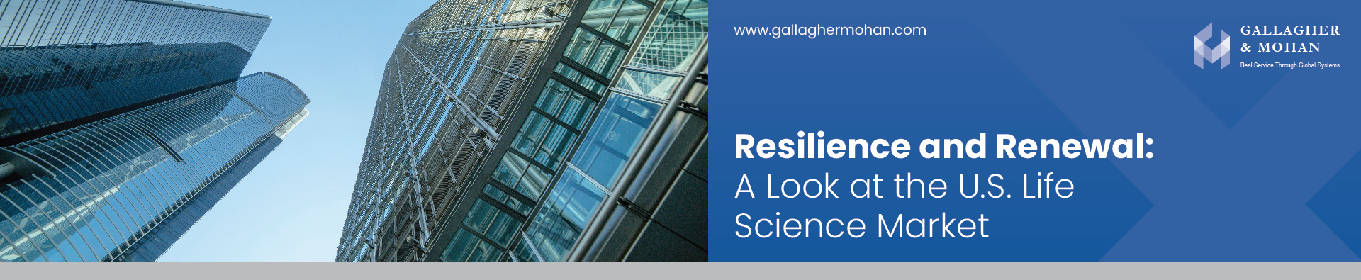 Resilience And Renewal A Look At The U.S. Life Science Market